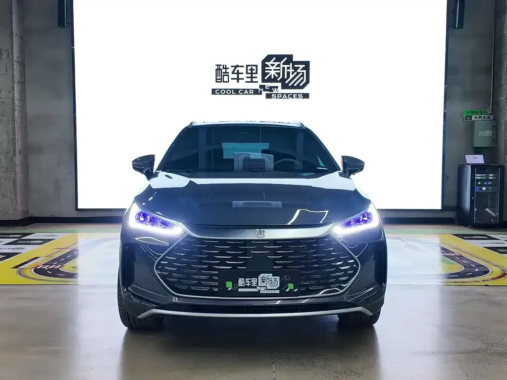BYD Tang New Energy — фото 4
