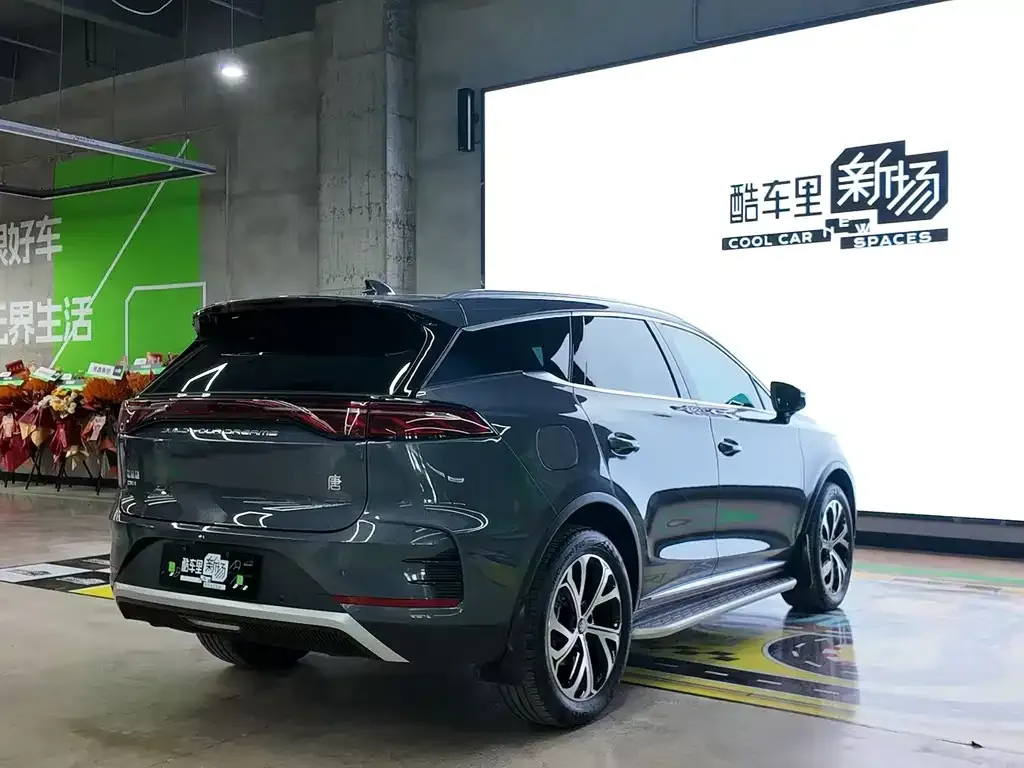 BYD Tang New Energy — фото 9