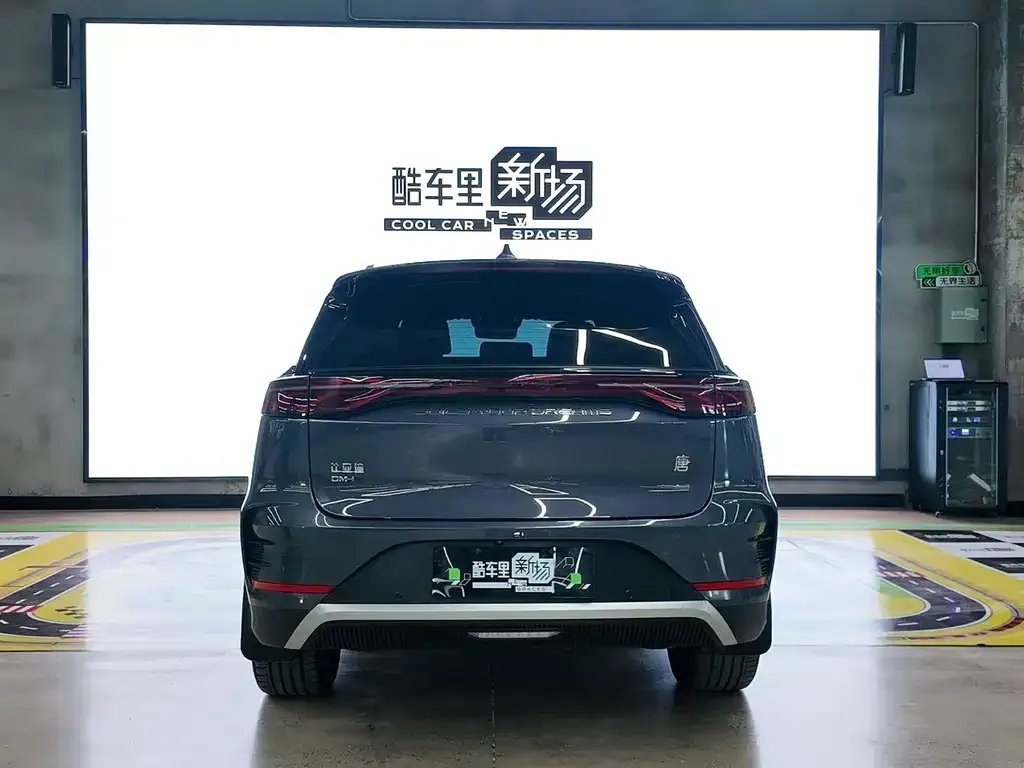 BYD Tang New Energy — фото 2