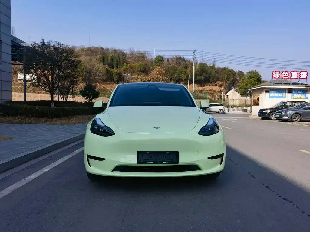 Tesla Model Y — фото 1