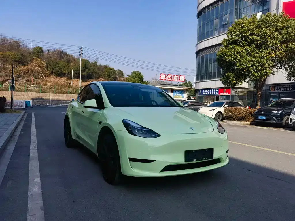 Tesla Model Y — фото 2