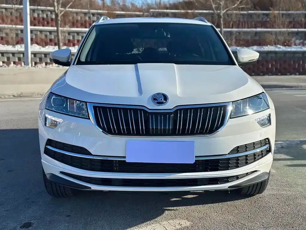 Skoda Karoq — фото 4