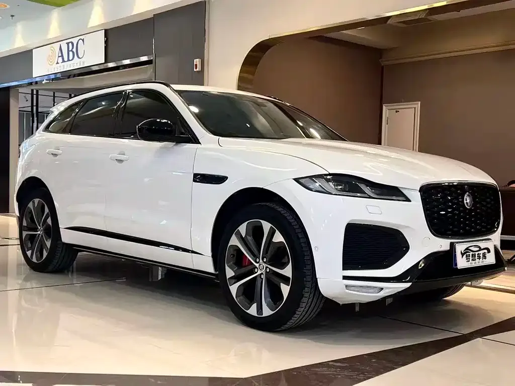 Jaguar F-PACE — фото 9