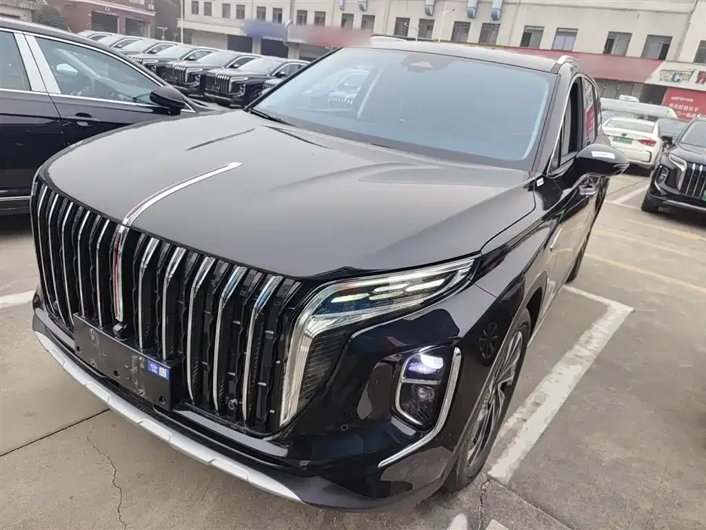 Hongqi HS7 PHEV — фото 7