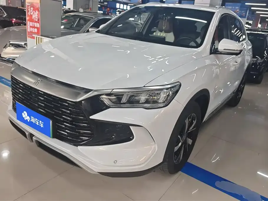 BYD Pro New Energy — фото 1