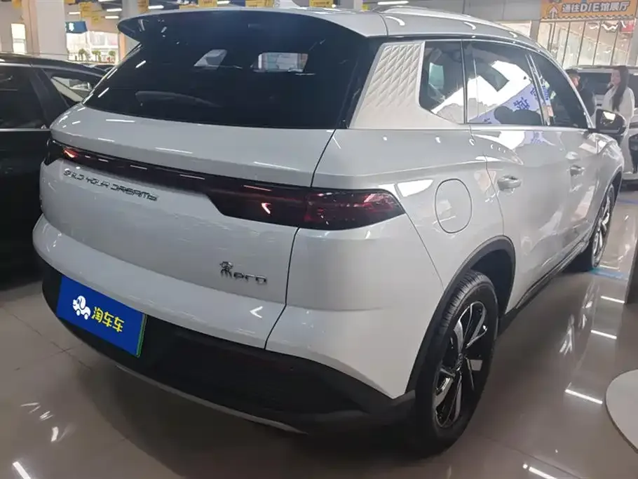 BYD Pro New Energy — фото 4