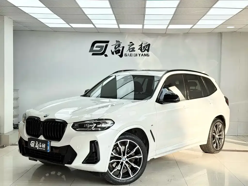 BMW X3 — фото 1