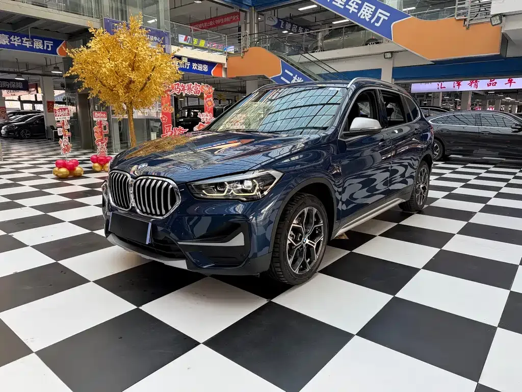 BMW X1 — фото 1