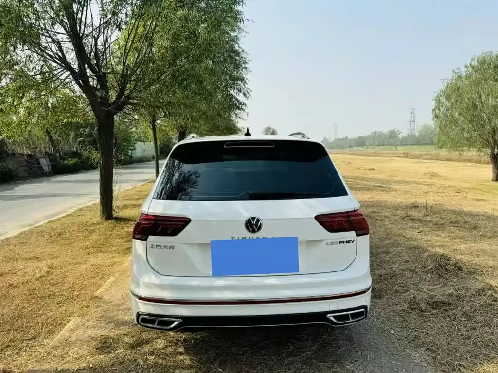 Volkswagen Tiguan L New Energy — фото 8