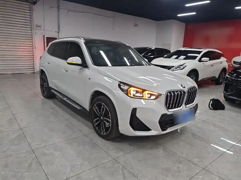 BMW X1 — фото 9