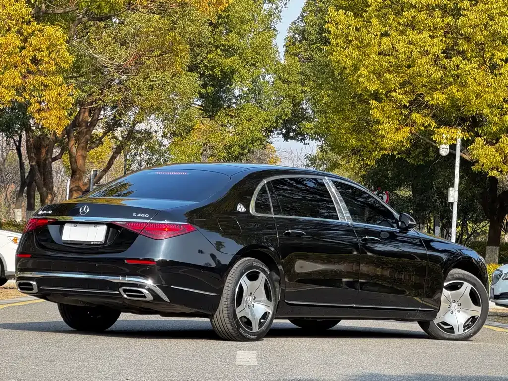 Mercedes-Benz S-Class — фото 6