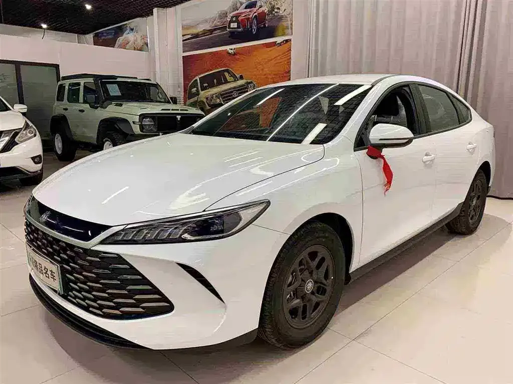 BYD Qin PLUS — фото 1