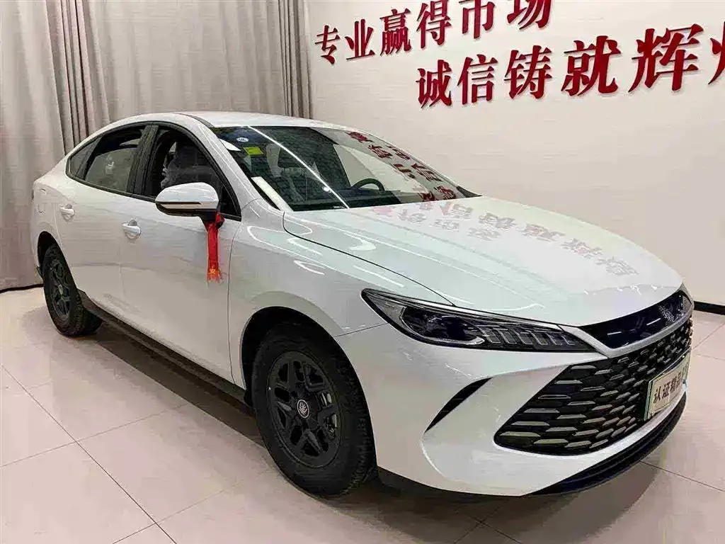 BYD Qin PLUS — фото 8