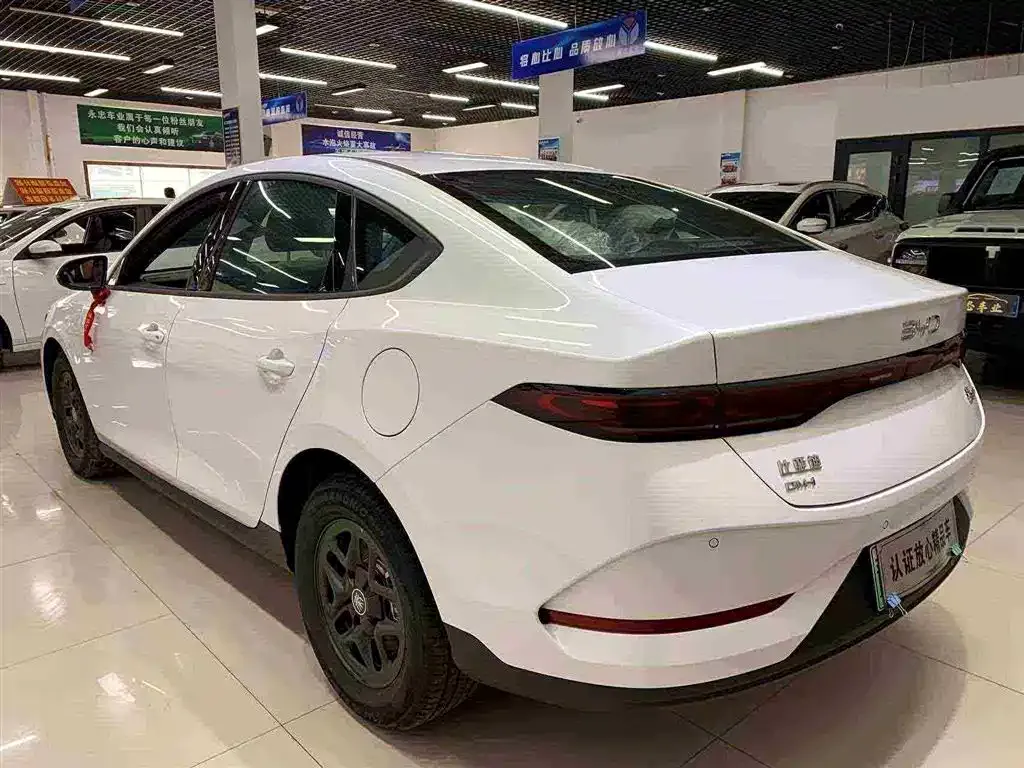 BYD Qin PLUS — фото 5