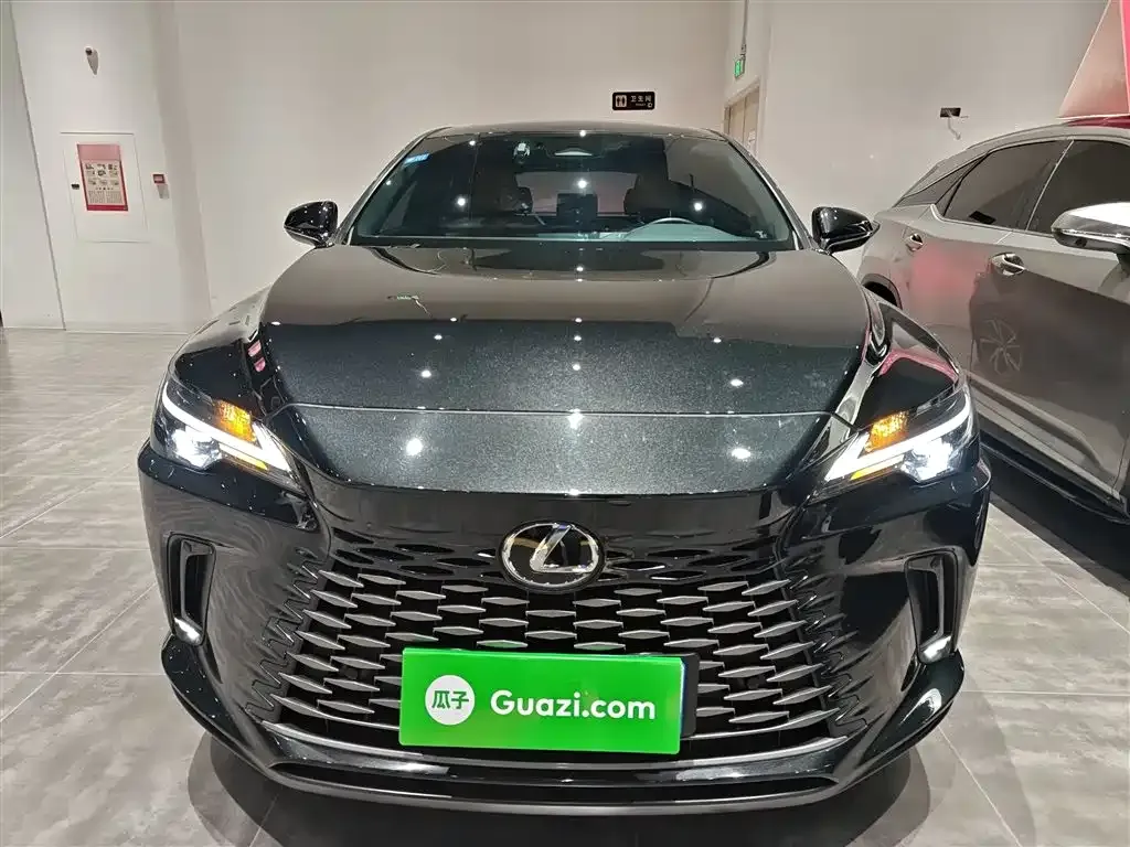 Lexus RX — фото 10