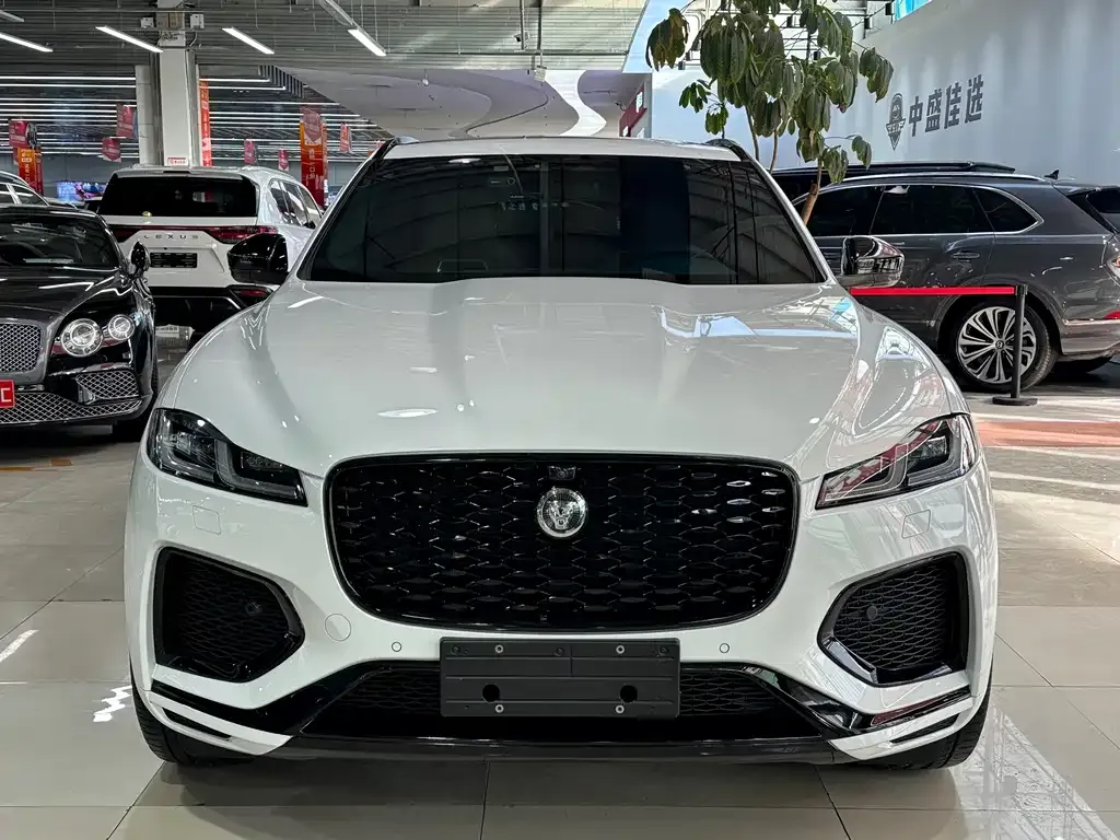 Jaguar F-PACE — фото 3