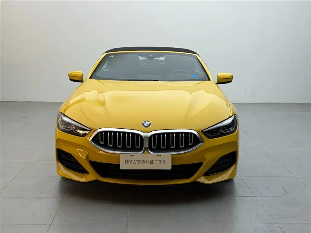 BMW 8 Series — фото 10