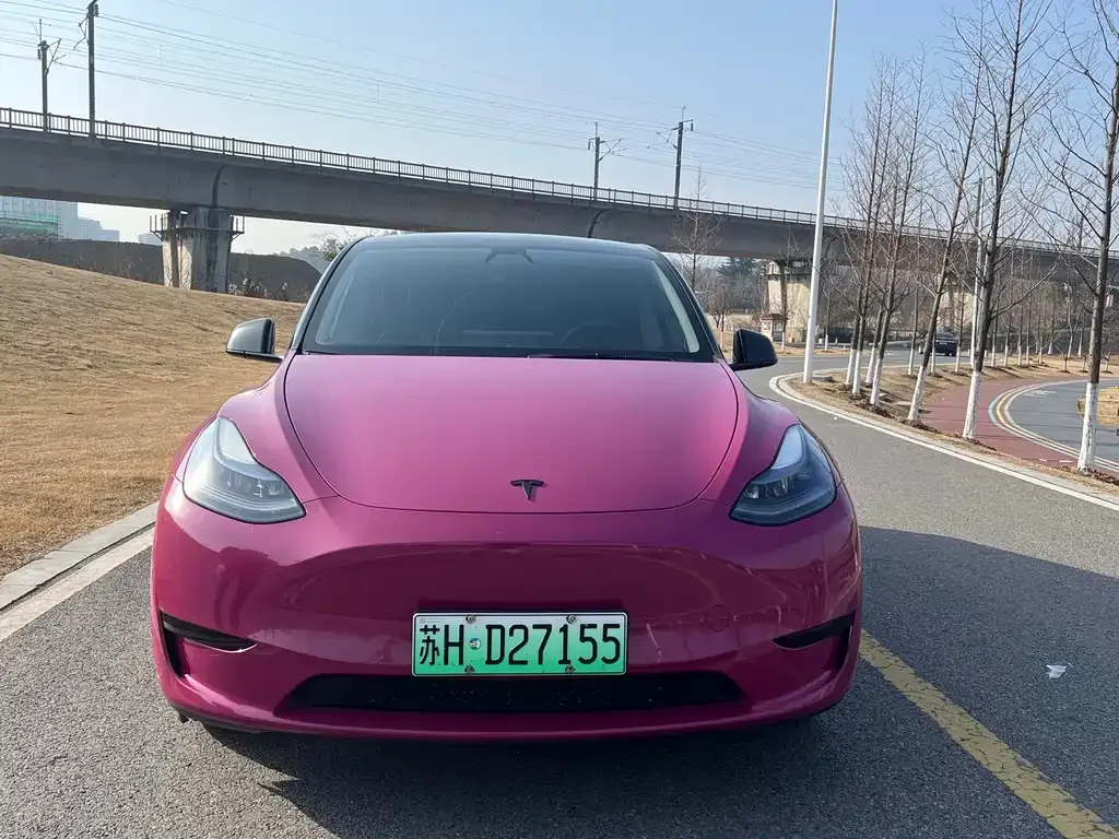 Tesla Model Y — фото 1