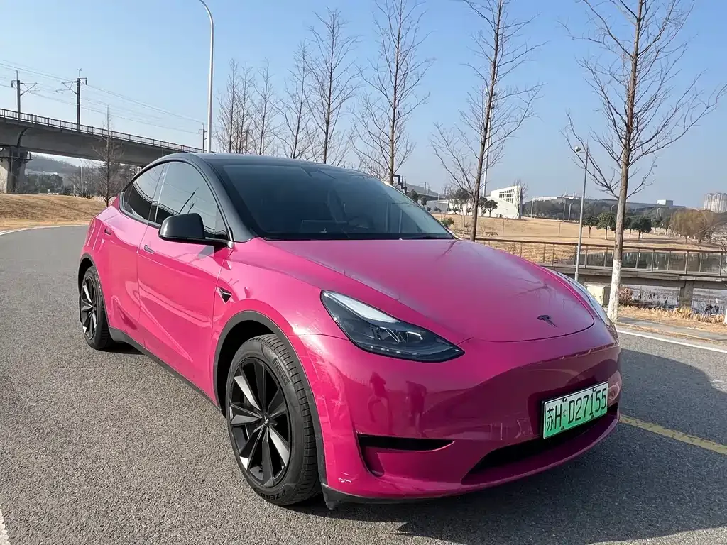 Tesla Model Y — фото 5