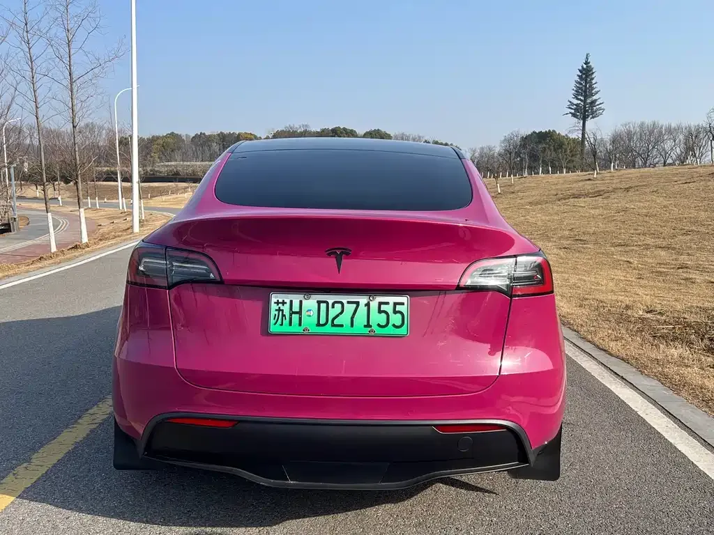 Tesla Model Y — фото 10