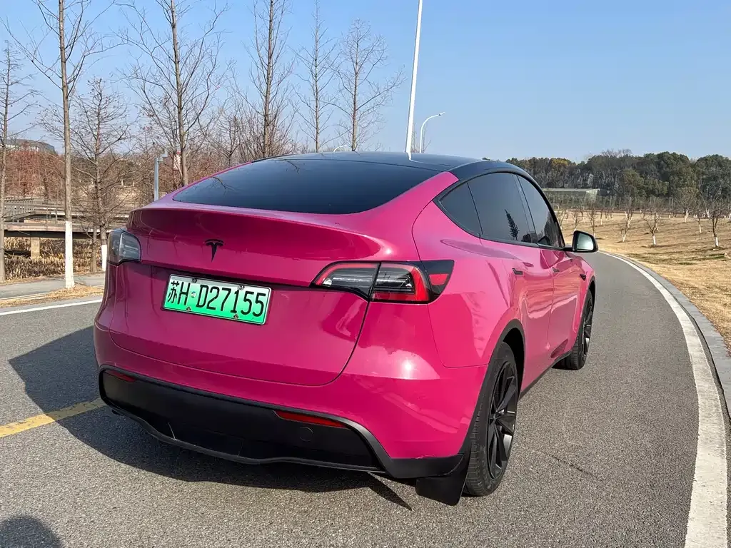Tesla Model Y — фото 9