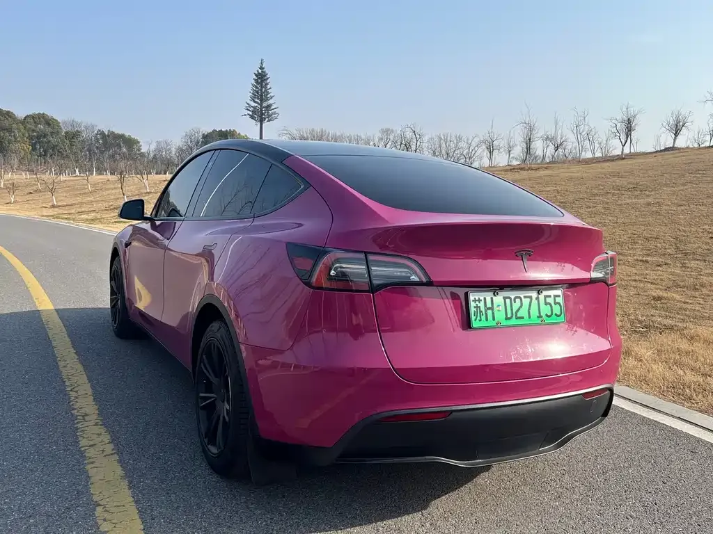 Tesla Model Y — фото 3