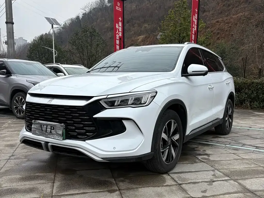 BYD Pro New Energy — фото 1
