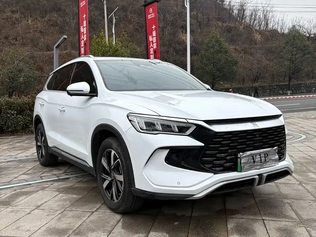 BYD Pro New Energy — фото 10
