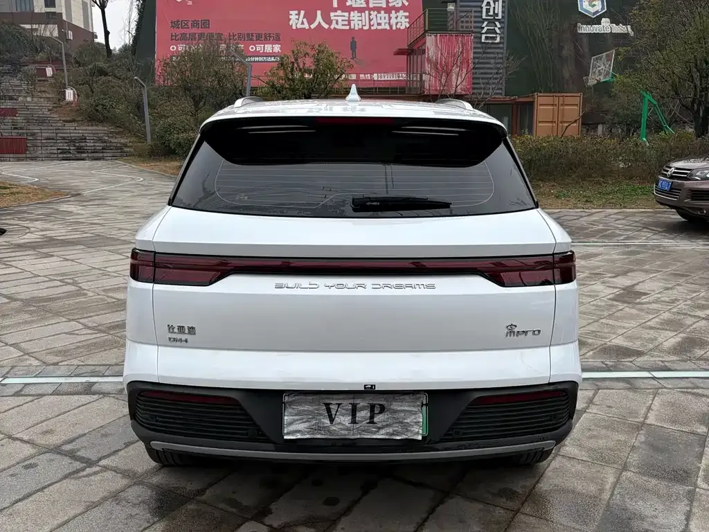 BYD Pro New Energy — фото 2