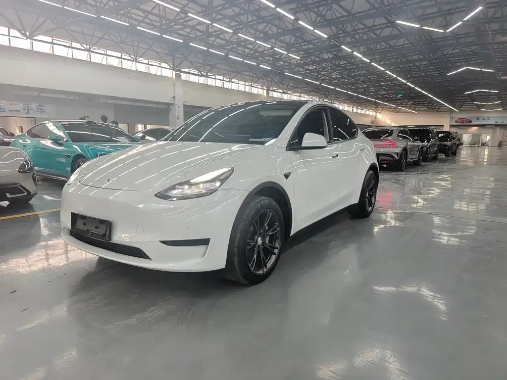 Tesla Model Y — фото 3