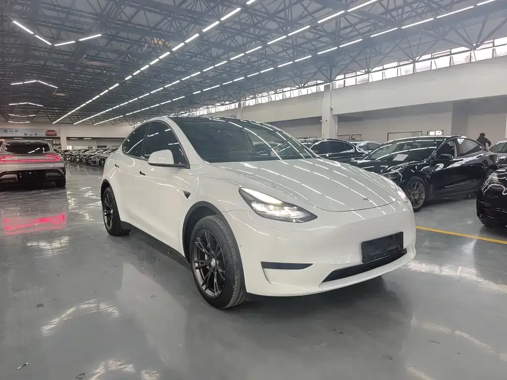 Tesla Model Y — фото 10