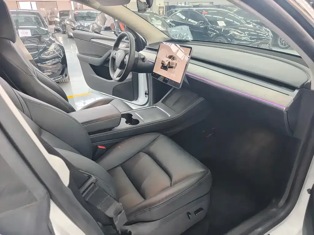 Tesla Model Y — фото 9
