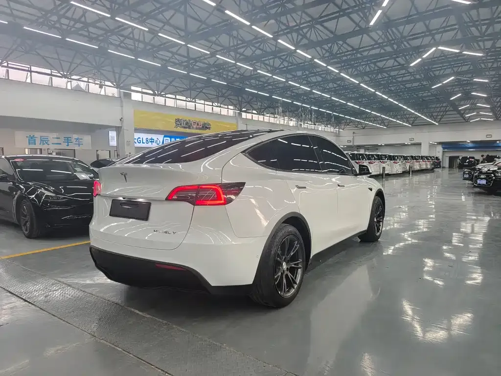 Tesla Model Y — фото 8
