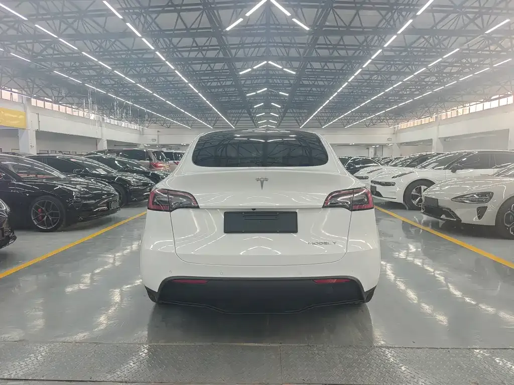 Tesla Model Y — фото 4