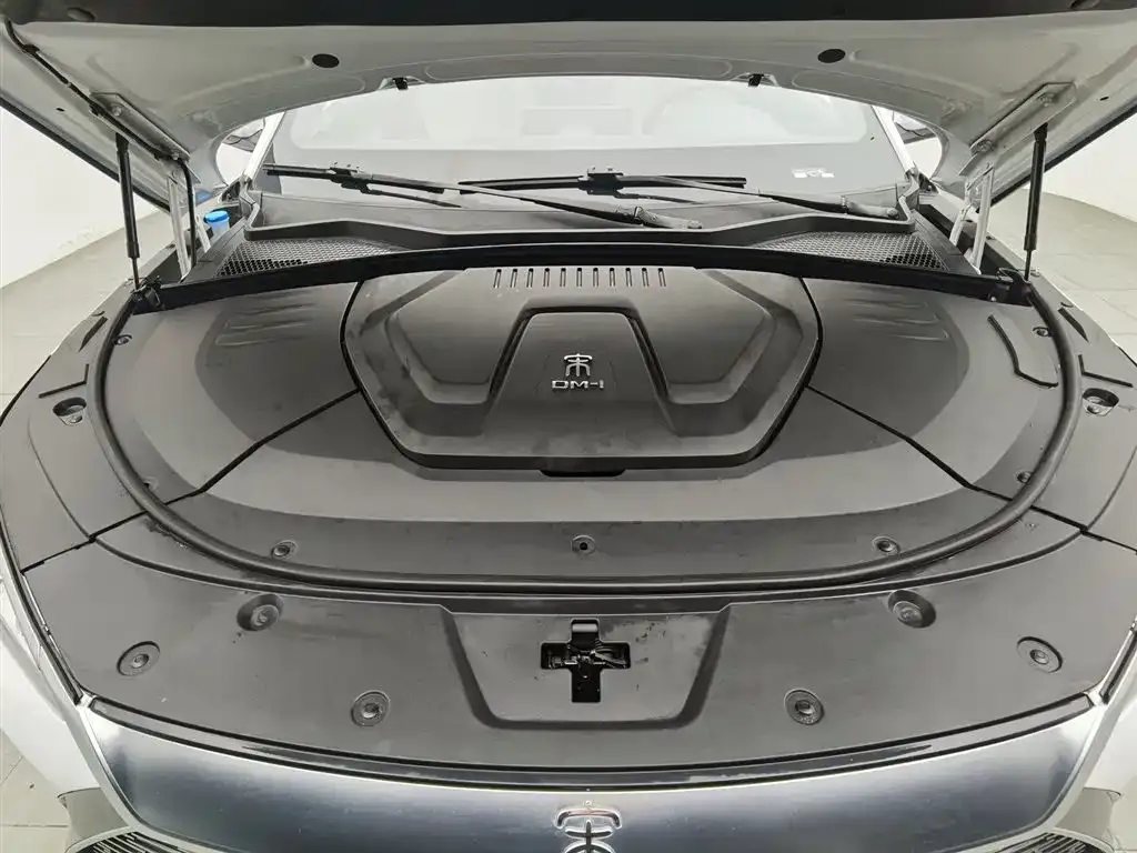 BYD PLUS New Energy — фото 8