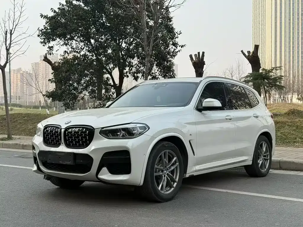BMW X3 — фото 1