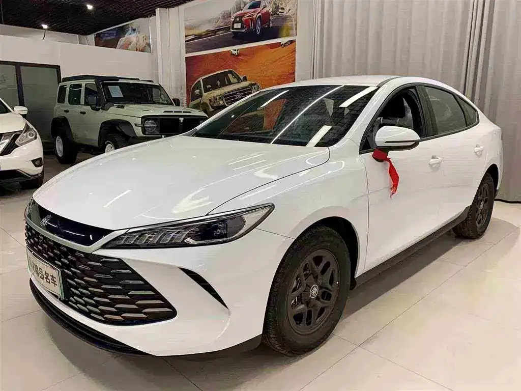 BYD Qin PLUS — фото 1