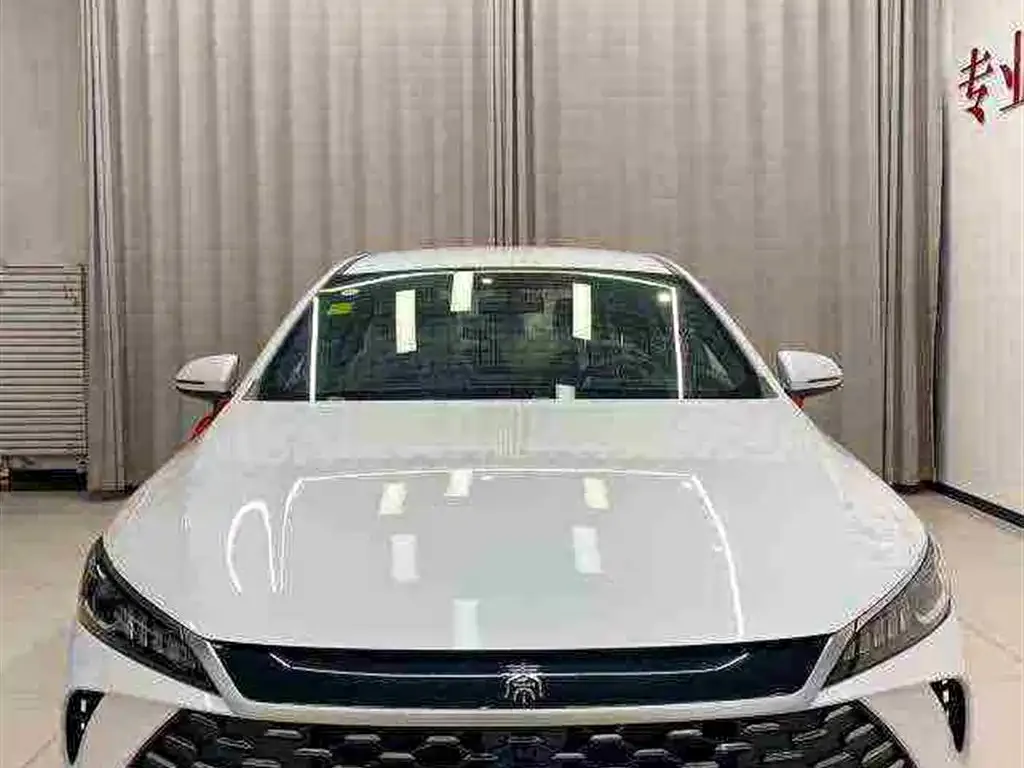 BYD Qin PLUS — фото 2