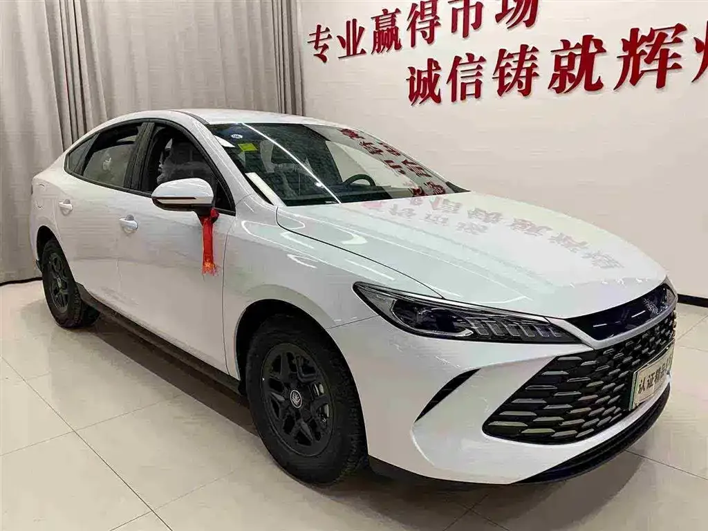 BYD Qin PLUS — фото 3