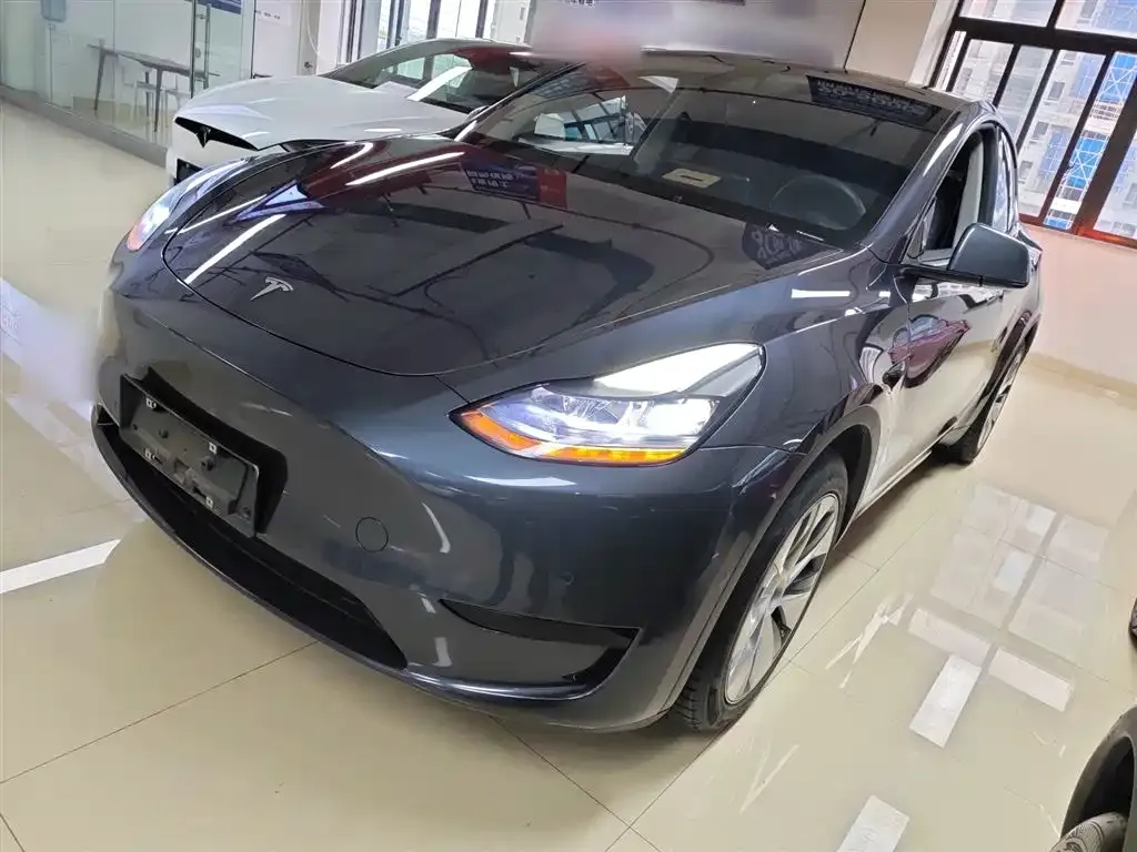 Tesla Model Y — фото 1