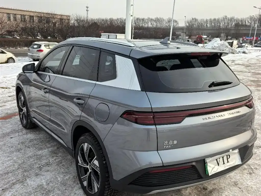 BYD Pro New Energy — фото 6