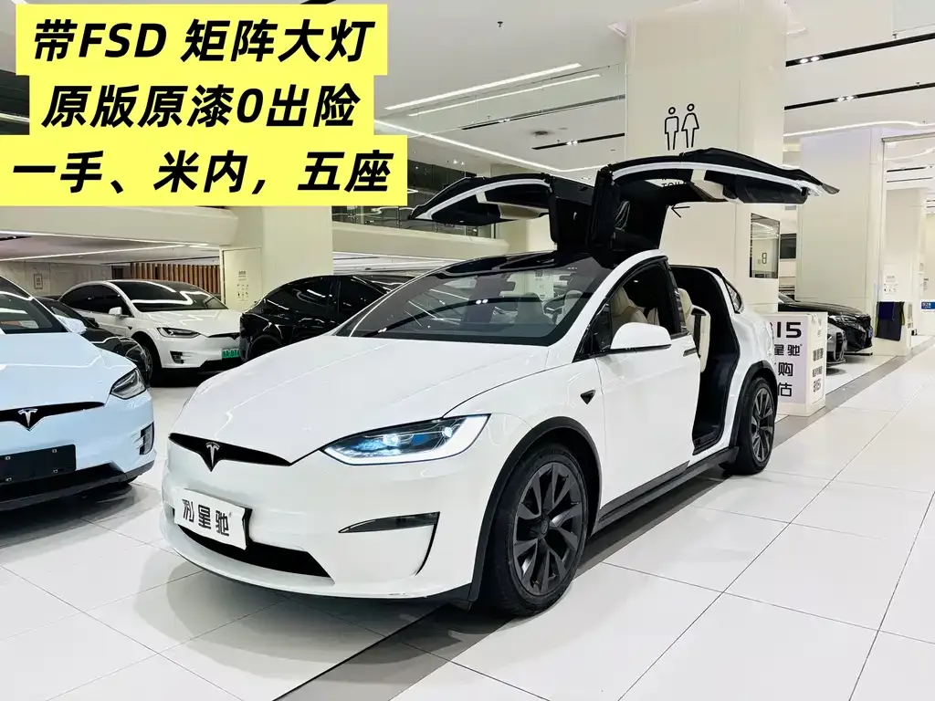 Tesla Model X — фото 1