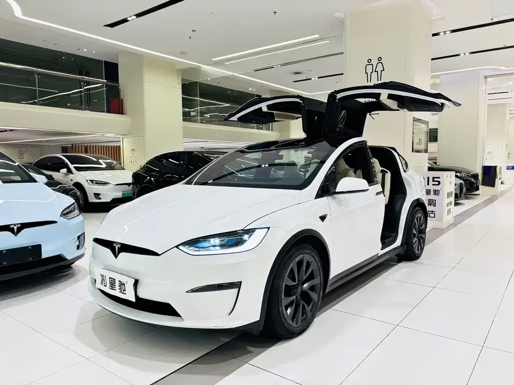 Tesla Model X — фото 8