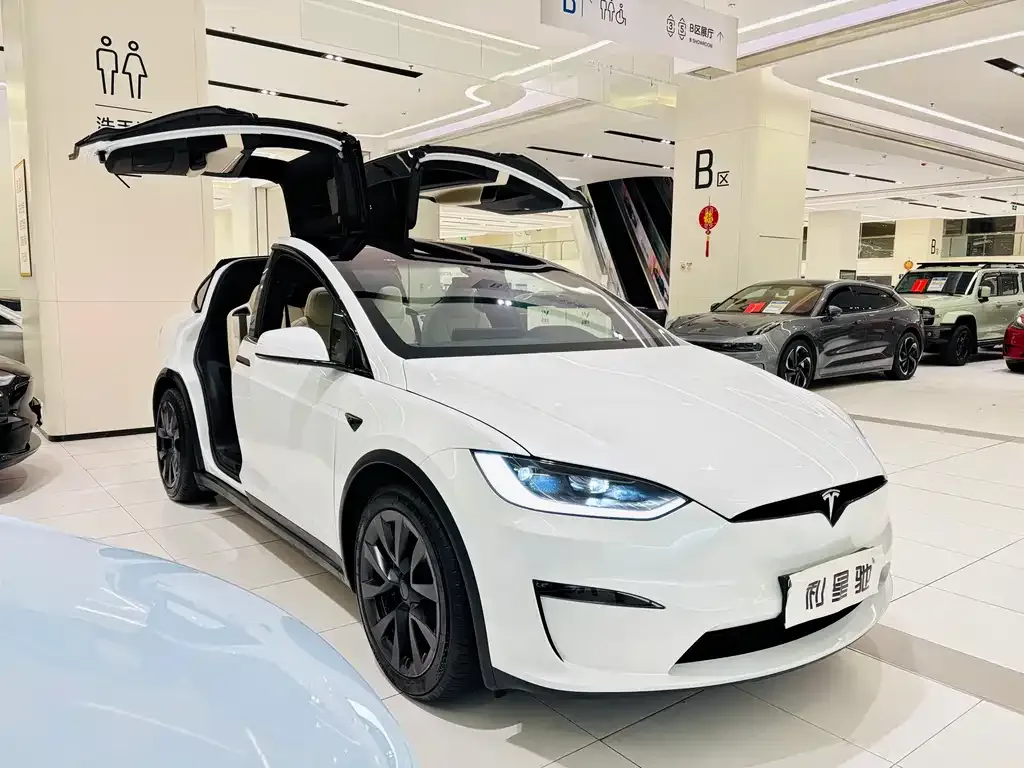 Tesla Model X — фото 5