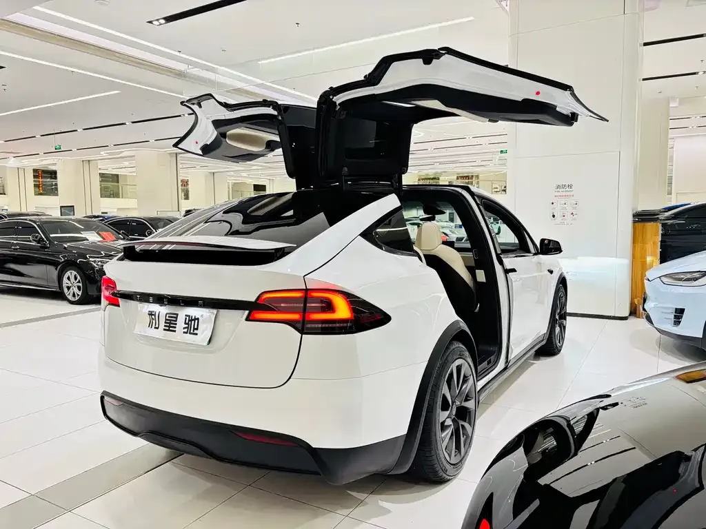 Tesla Model X — фото 6
