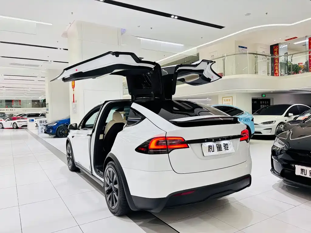 Tesla Model X — фото 7