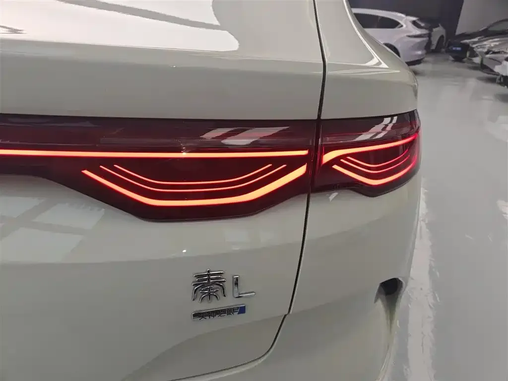 BYD Qin L — фото 2