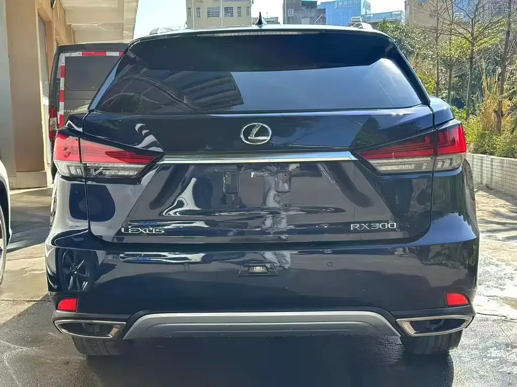 Lexus RX — фото 6