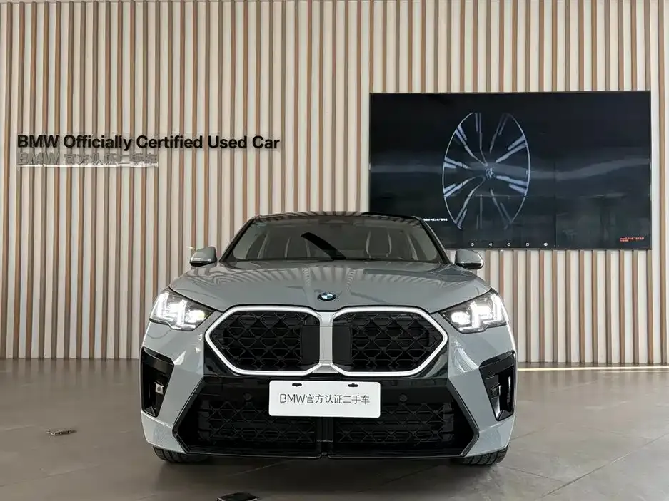 BMW X2 (Import) — фото 8