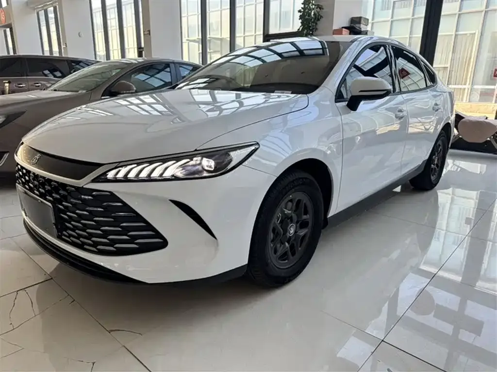 BYD Qin PLUS — фото 1